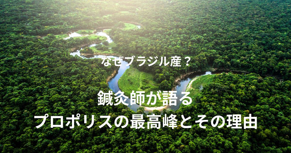 なぜブラジル産?鍼灸師が語るプロポリスの最高峰とその理由